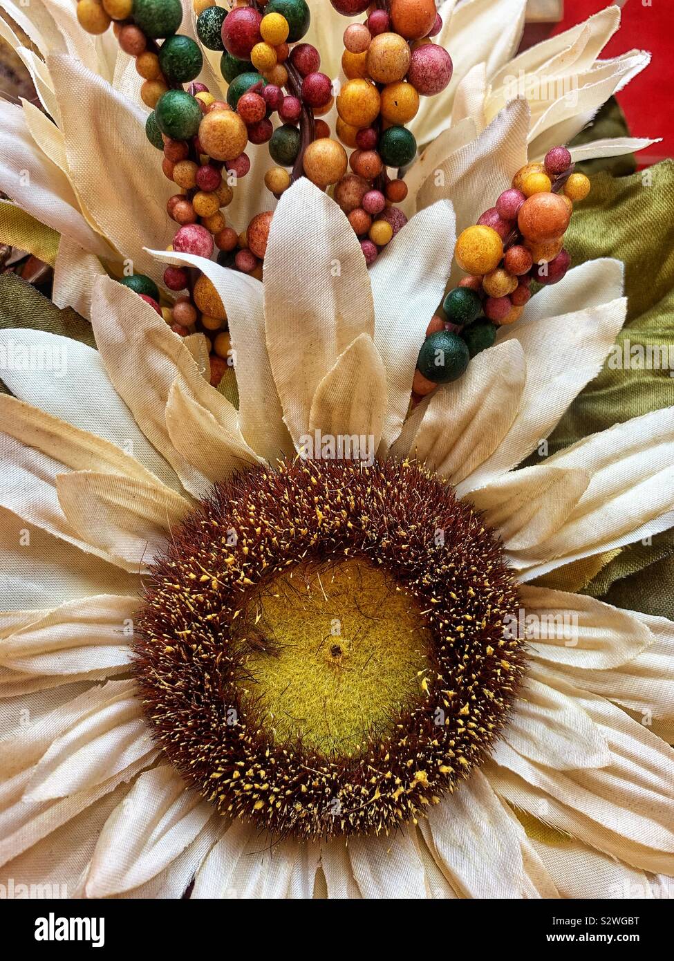 Fake plastic white daisy in full bloom. - Smartphone Captured Stock Image