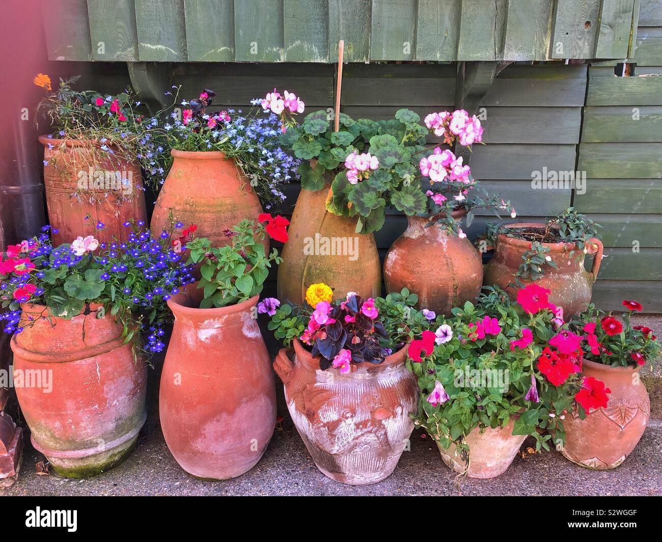 Assorted flower pots with flowers growing in them. Stock Photo