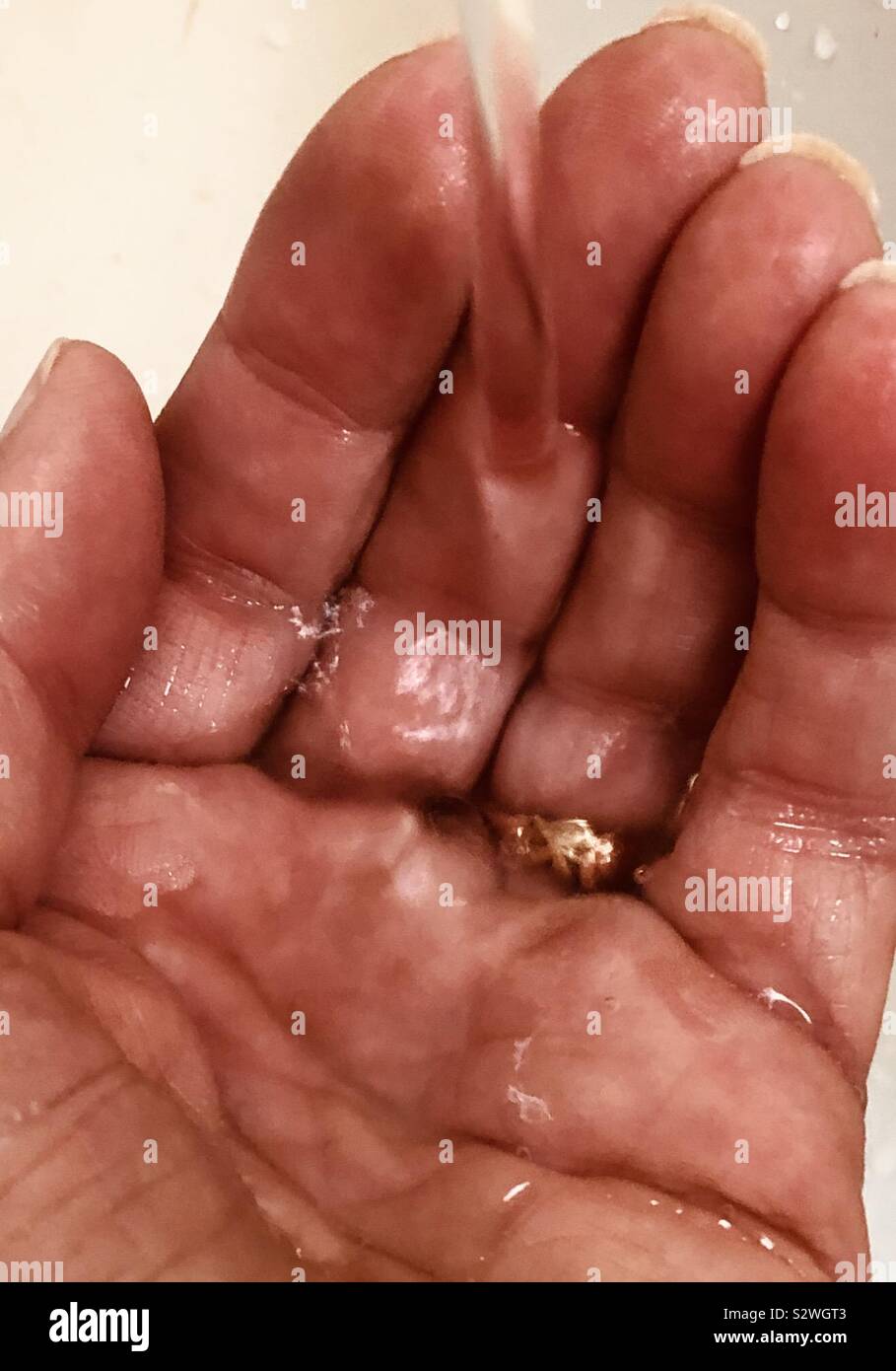 Running water in hand, preparing to wash Stock Photo