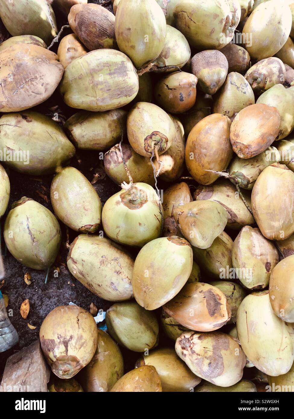 Coconuts on the beach in Lagos, Nigeria Stock Photo Alamy
