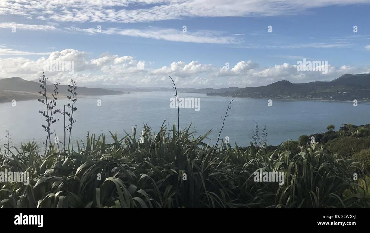 View from omapere, New Zealand looking out over Hokianga harbour Stock Photo