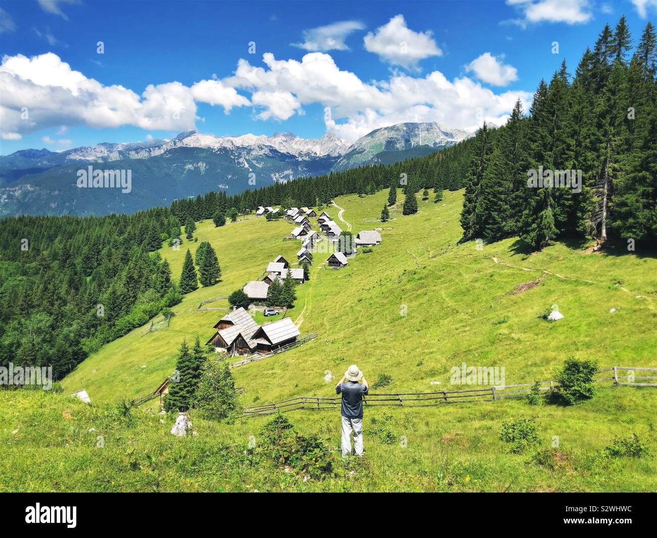 Hiker taking photo of Zajamniki meadow, Pokljuka, Julian Alps, Slovenia Stock Photo
