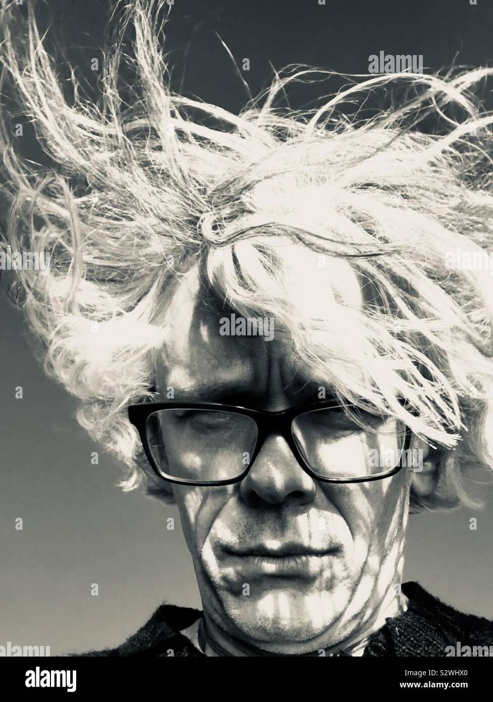 A bad hair day Stock Photo
