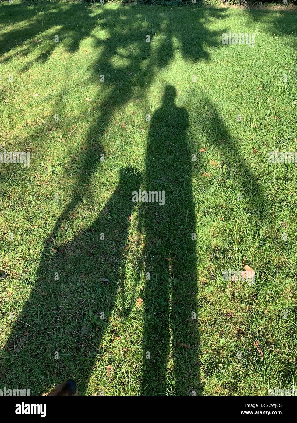 Shadow picture - Smartphone Captured Stock Image