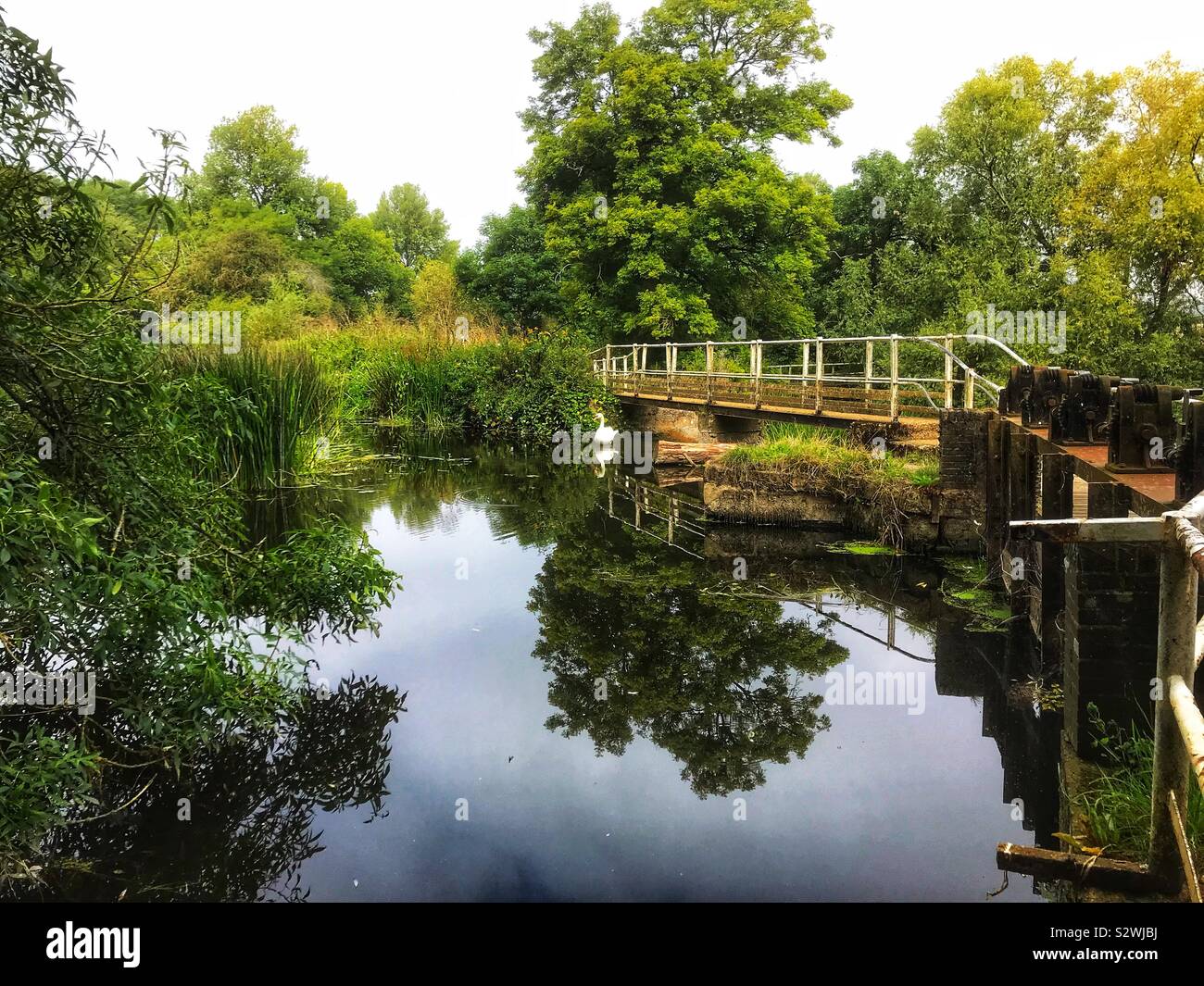 Millpond at a weir In Dorset - Smartphone Captured Stock Image