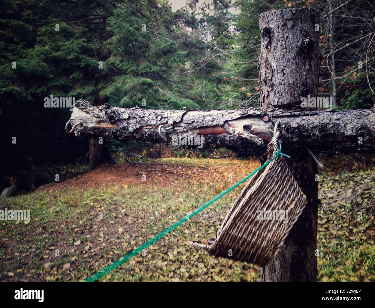 Lucid photo of timber clothesline post with line and clothespin basket- autumn - Smartphone Captured Stock Image