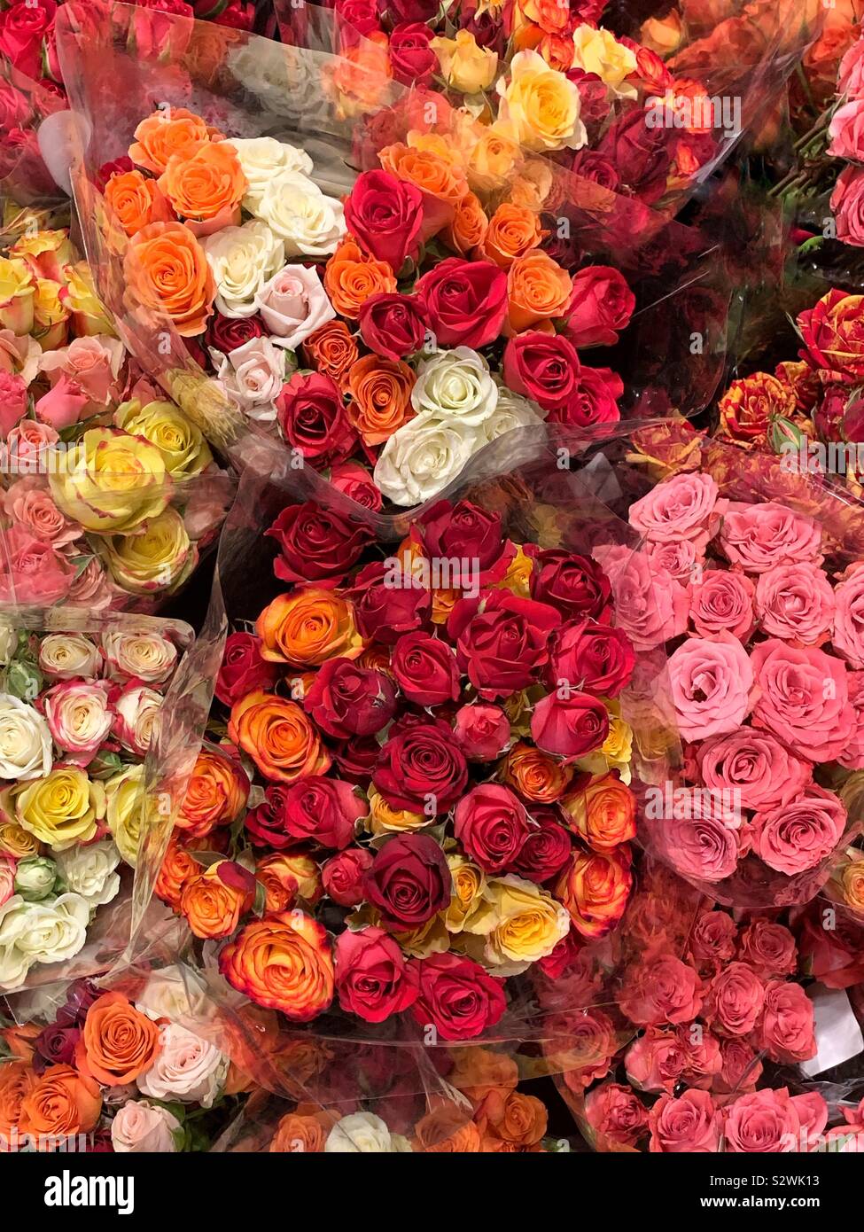 Many bouquets of fresh pink, yellow, and red roses. - Smartphone Captured Stock Image