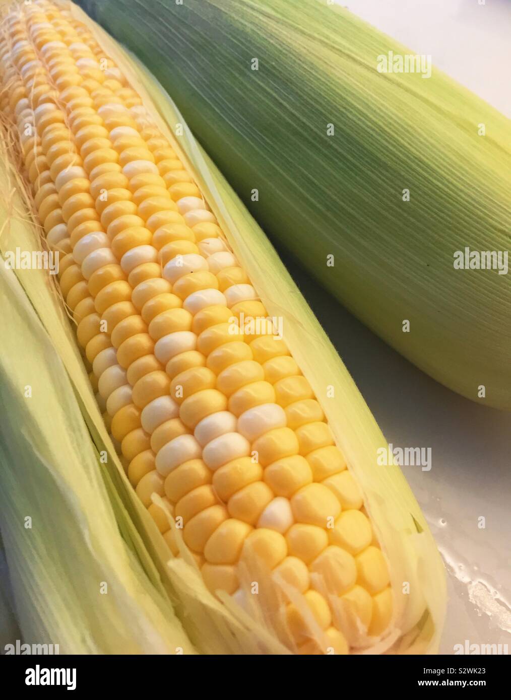 Two ears of sweetcorn in their husks, United States - Smartphone Captured Stock Image