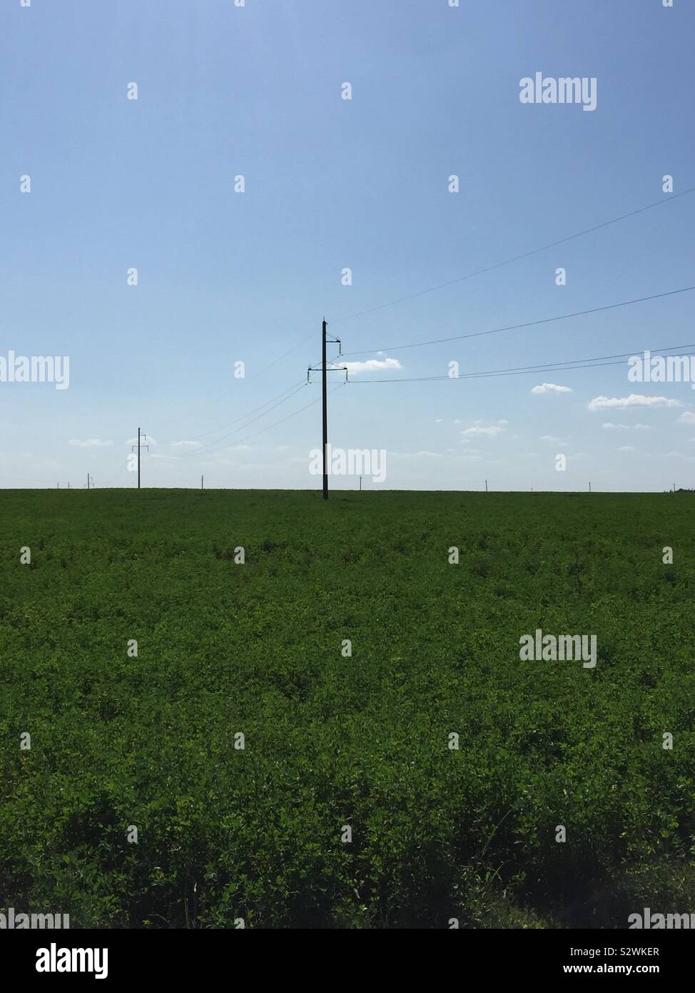 Clear skies above power lines and green fields Stock Photo