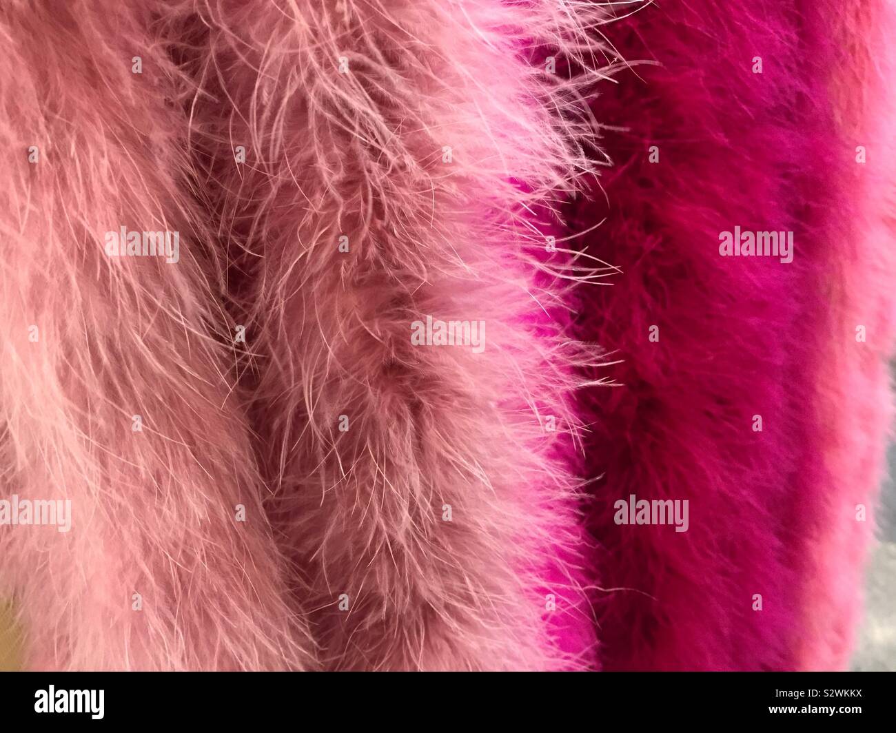 Feather boas in a trim shop in the garment district in New York City, USA - Smartphone Captured Stock Image Feather boas in a trim shop in the garment district in New York City, USA - Smartphone Captured Stock Image