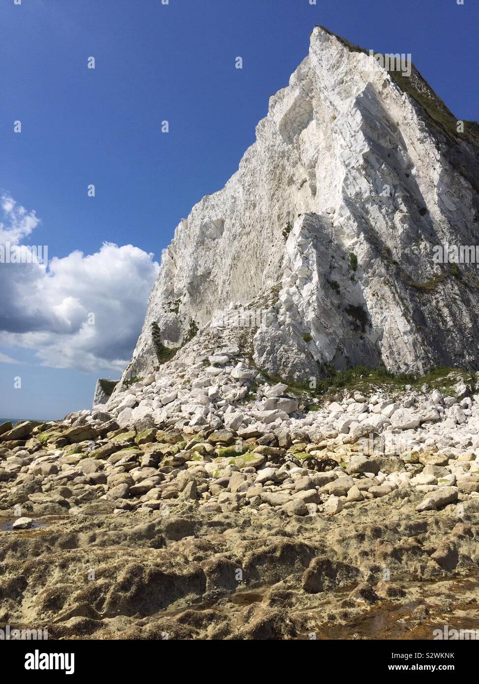 Chalk Cliffs, Isle of Wight , UK Stock Photo Alamy