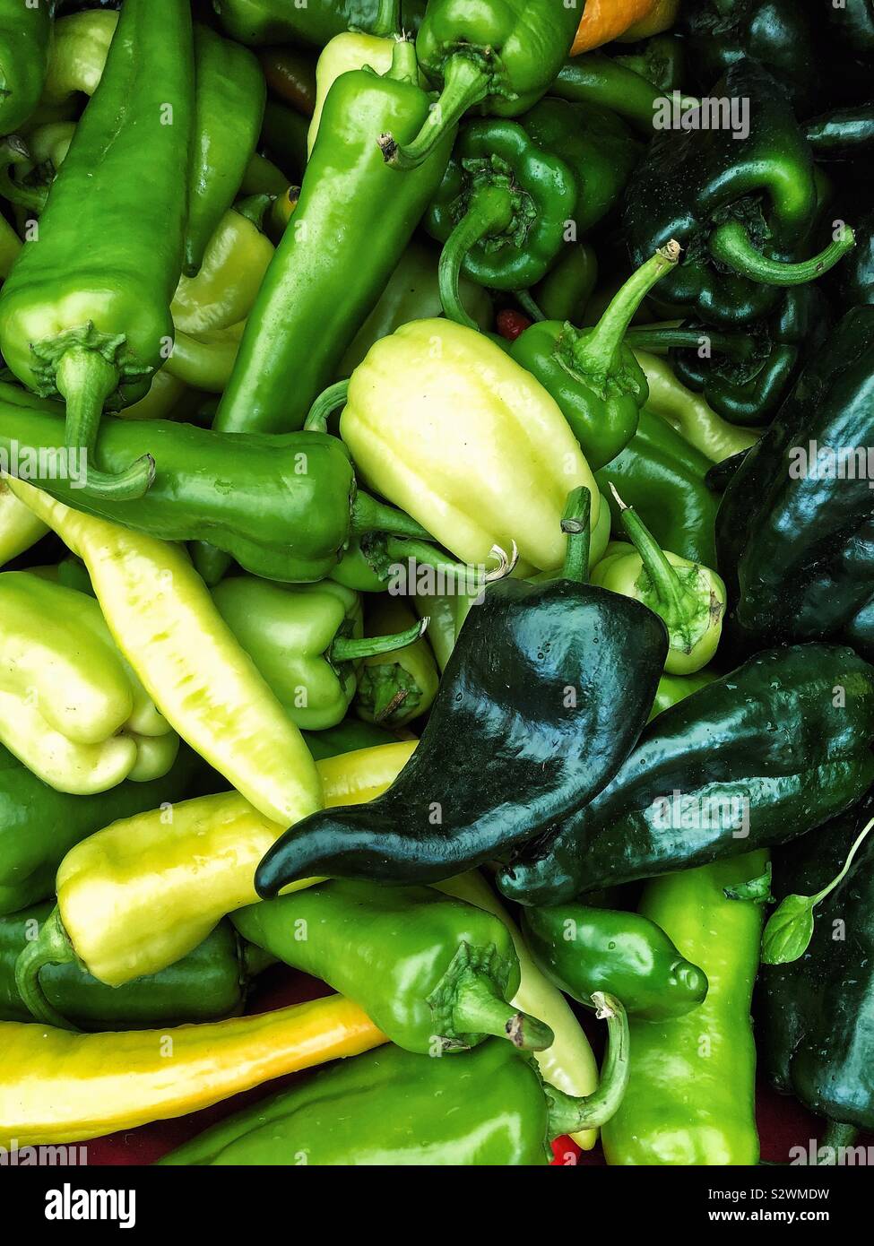 Green peppers at farmers market Stock Photo