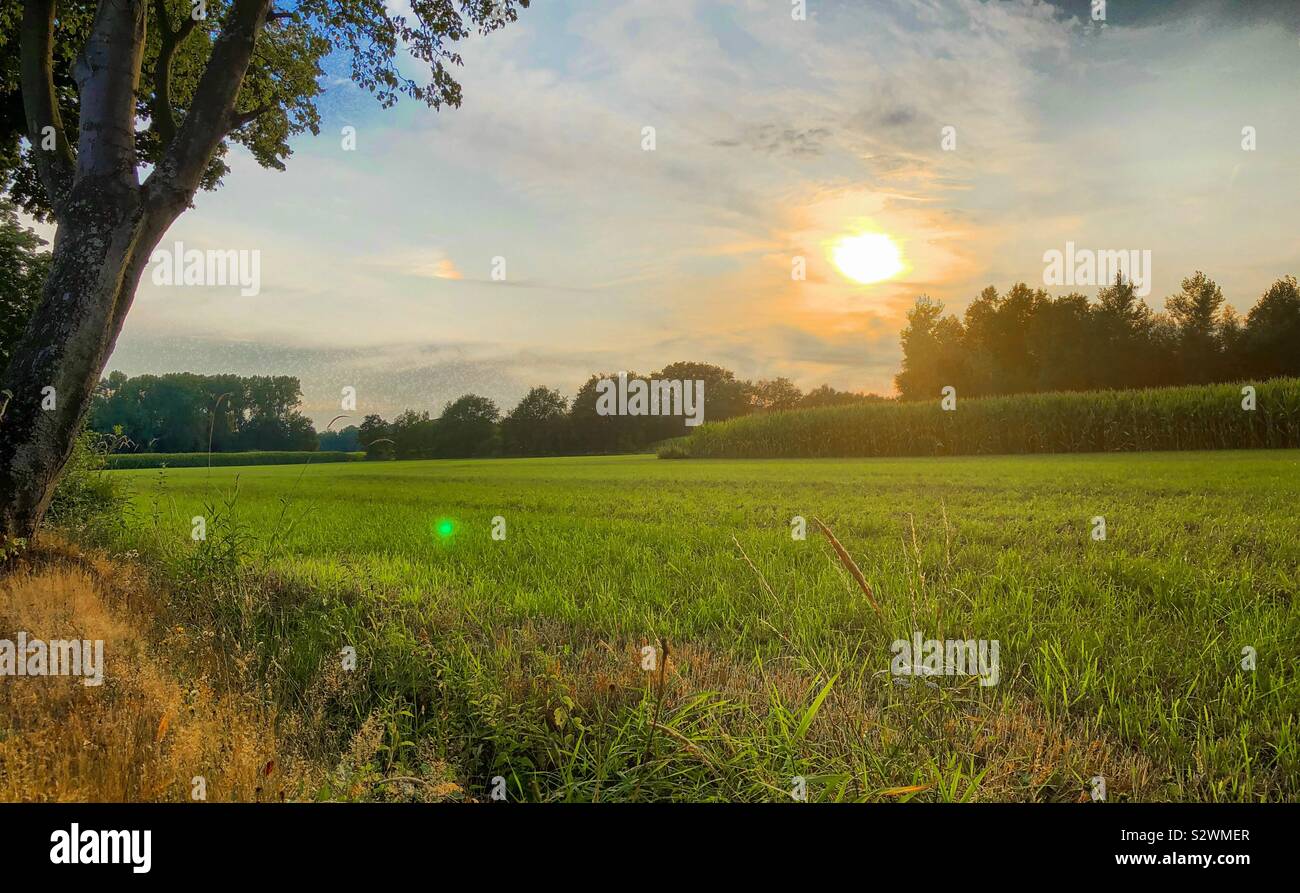 Golden sunset in a blue and Clouded sky over a rural agraric landscape - Smartphone Captured Stock Image