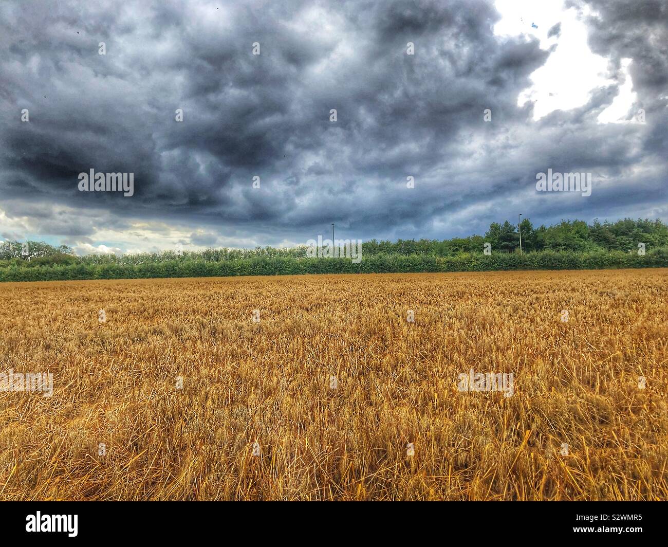Storm clouds over agricultural land - Smartphone Captured Stock Image