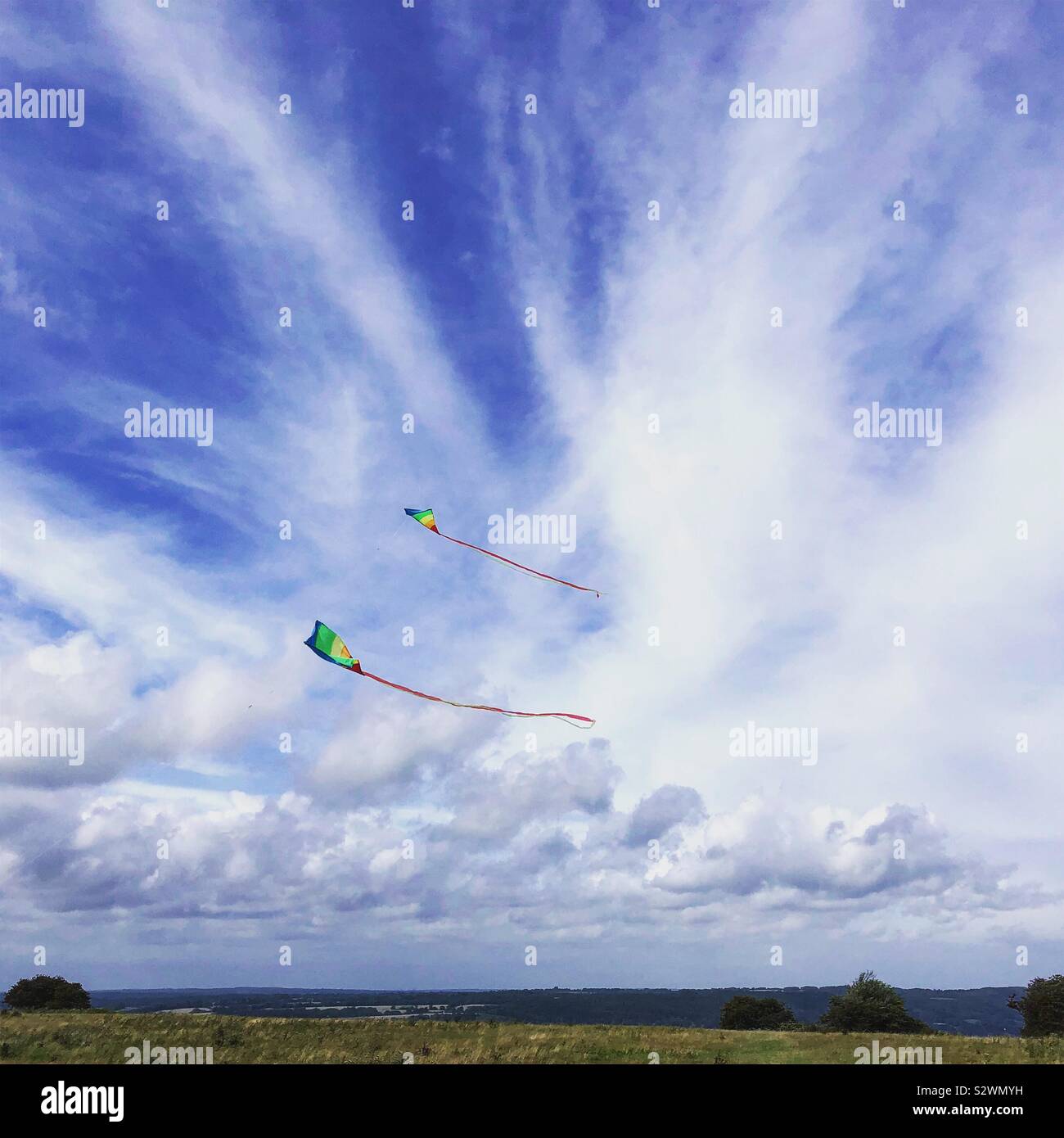 Kites in the sky Stock Photo Alamy