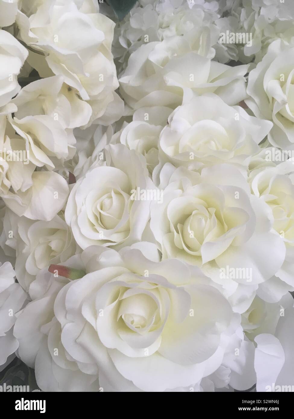 White silk flowers Stock Photo Alamy