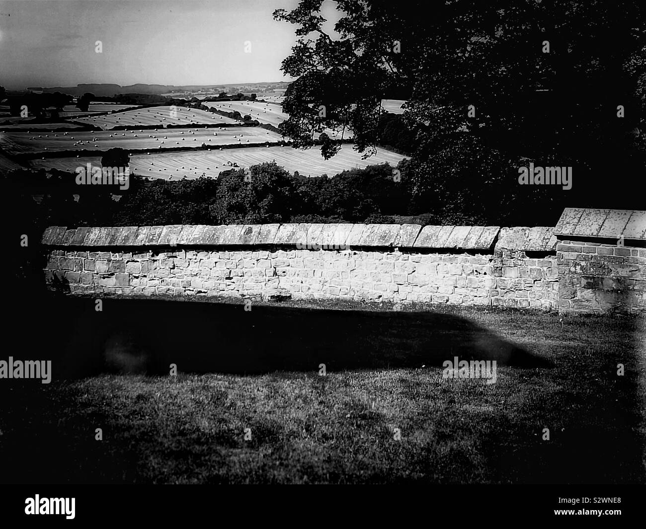 Black and white image of English country scene with fields and hay bales Stock Photo