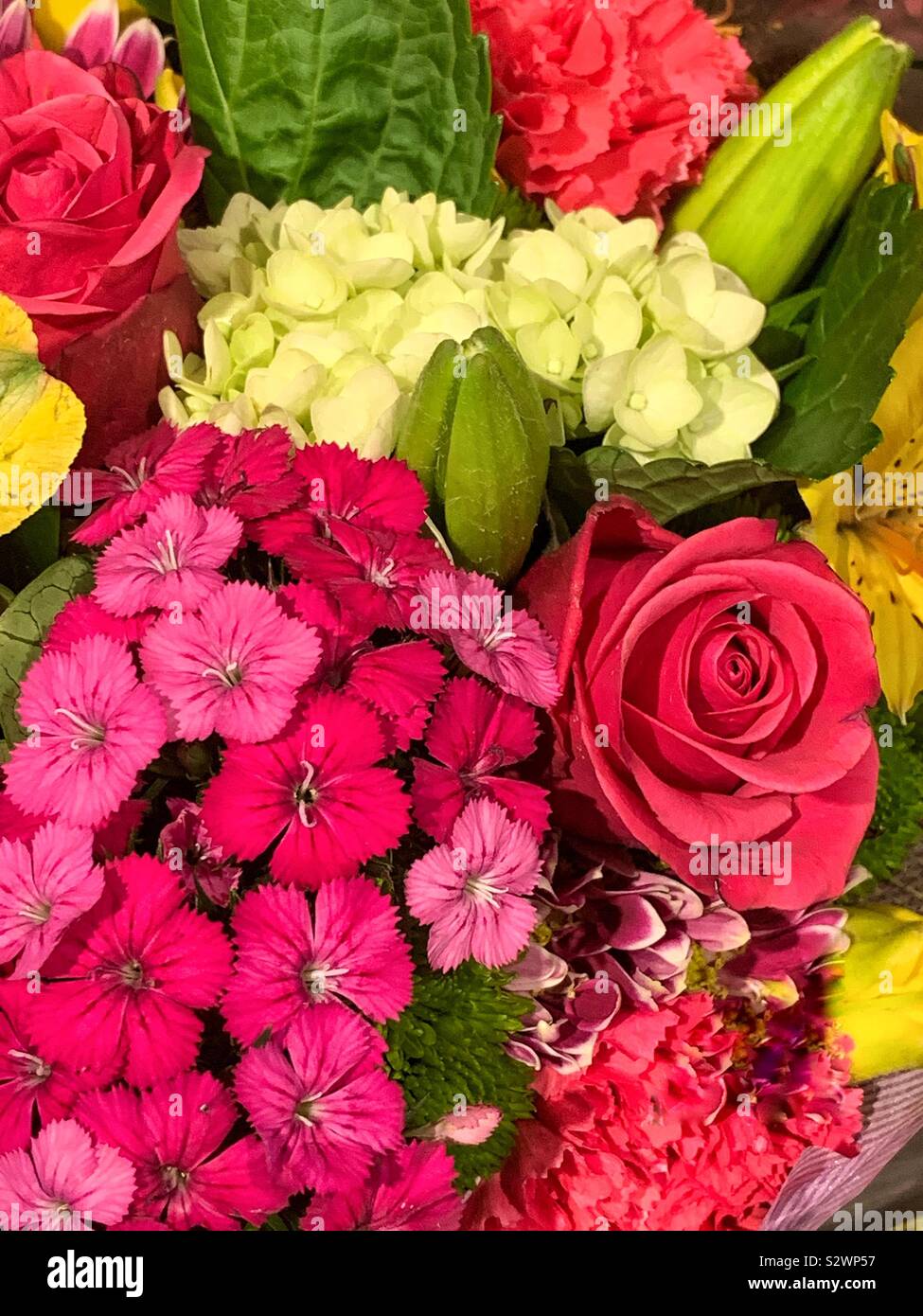 Variety of fresh beautiful colorful flowers including pink roses, white hydrangeas, and green buds. - Smartphone Captured Stock Image