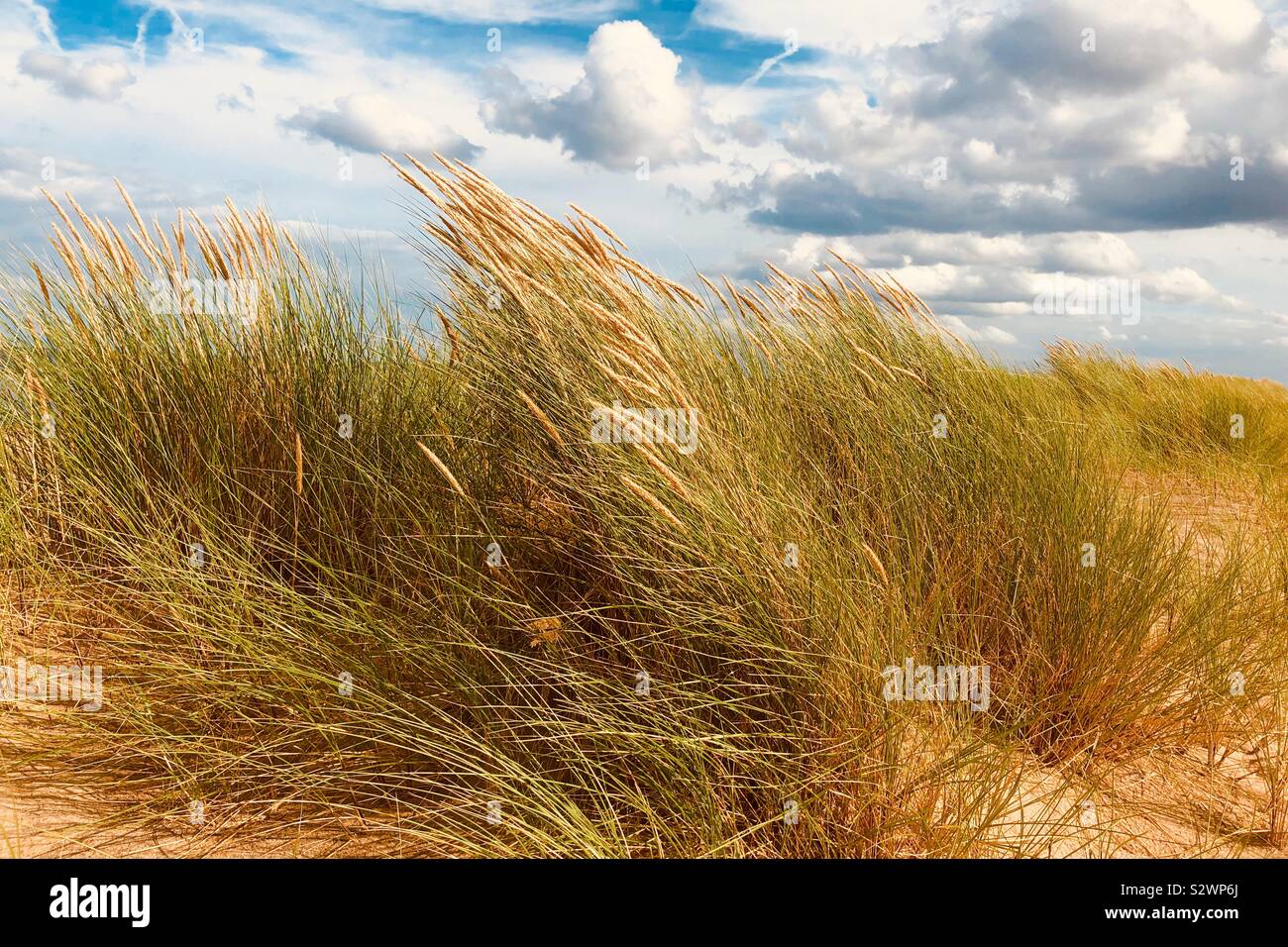 Sand dunes, Mablethorpe, Lincolnshire Stock Photo