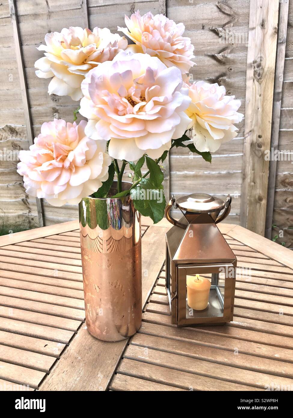 Just relaxing with this beautiful scented roses - Smartphone Captured Stock Image