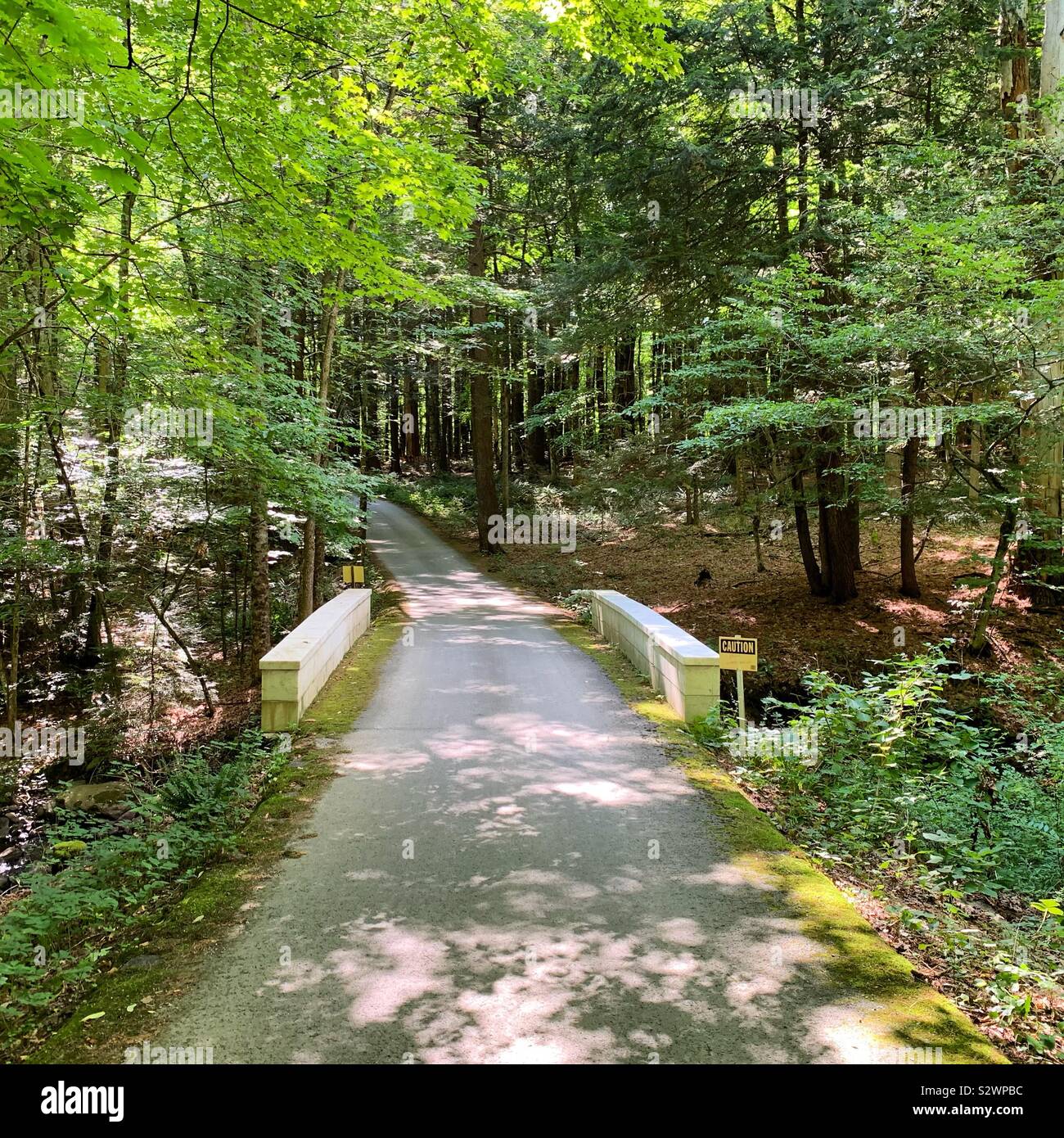 Walkway in the woods towards the Frelinghuysen Morris House & Studio, Lenox, Massachusetts, United States - Smartphone Captured Stock Image