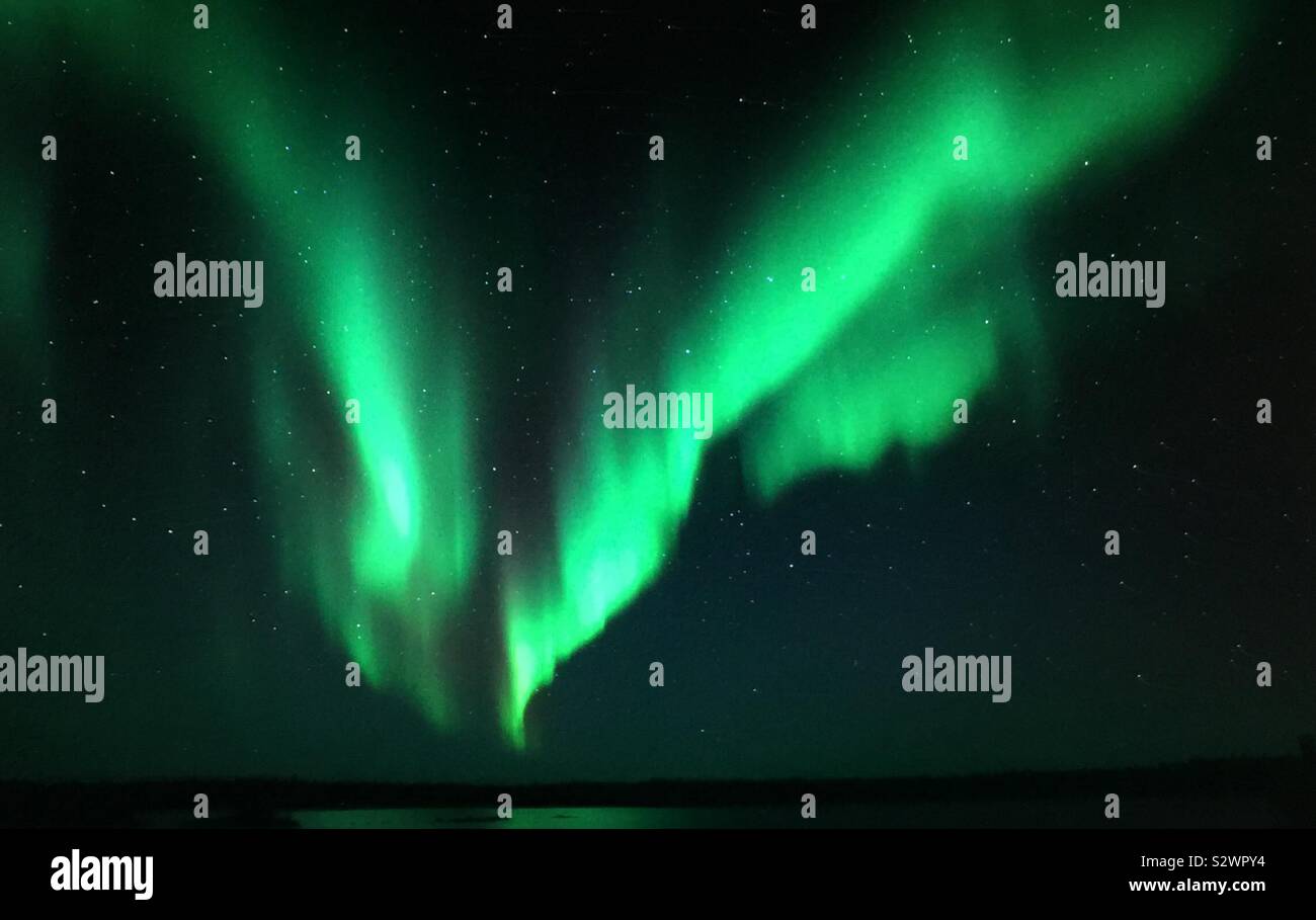 Aurora borealis, Northwest Territories near Yellowknife, Canada - Smartphone Captured Stock Image
