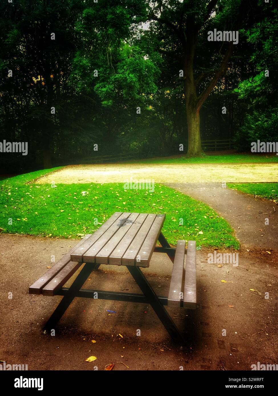 Picknick table in park - Smartphone Captured Stock Image
