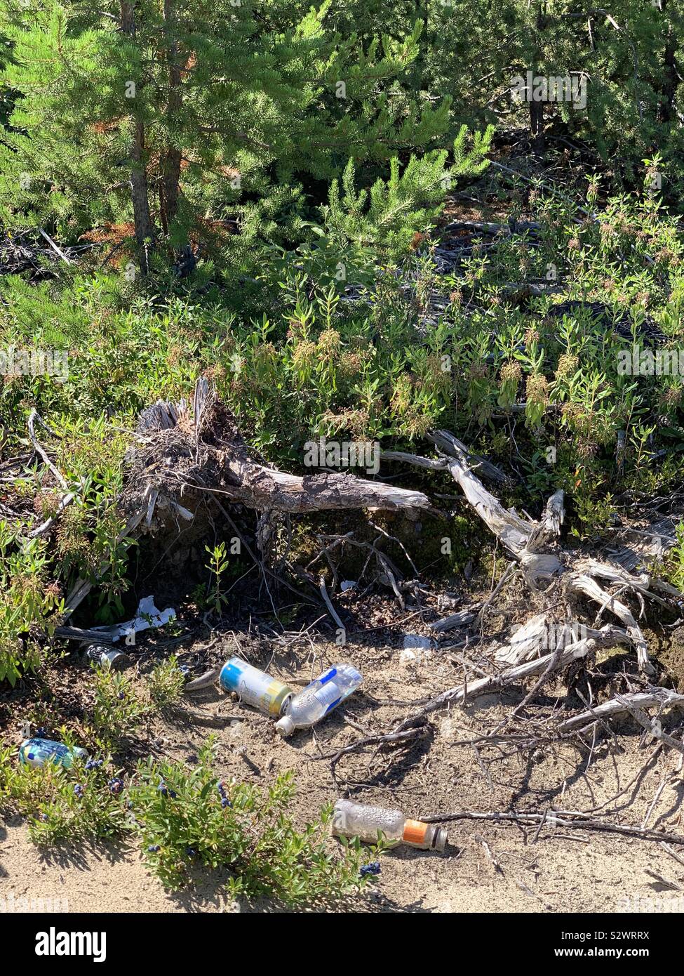 Trash in the nature , Canada Stock Photo