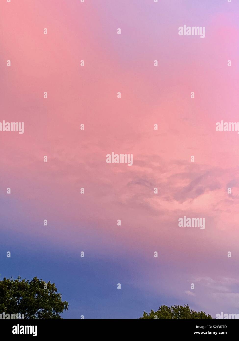 Pink Skies Stock Photo Alamy Pink Skies Stock Photo Alamy