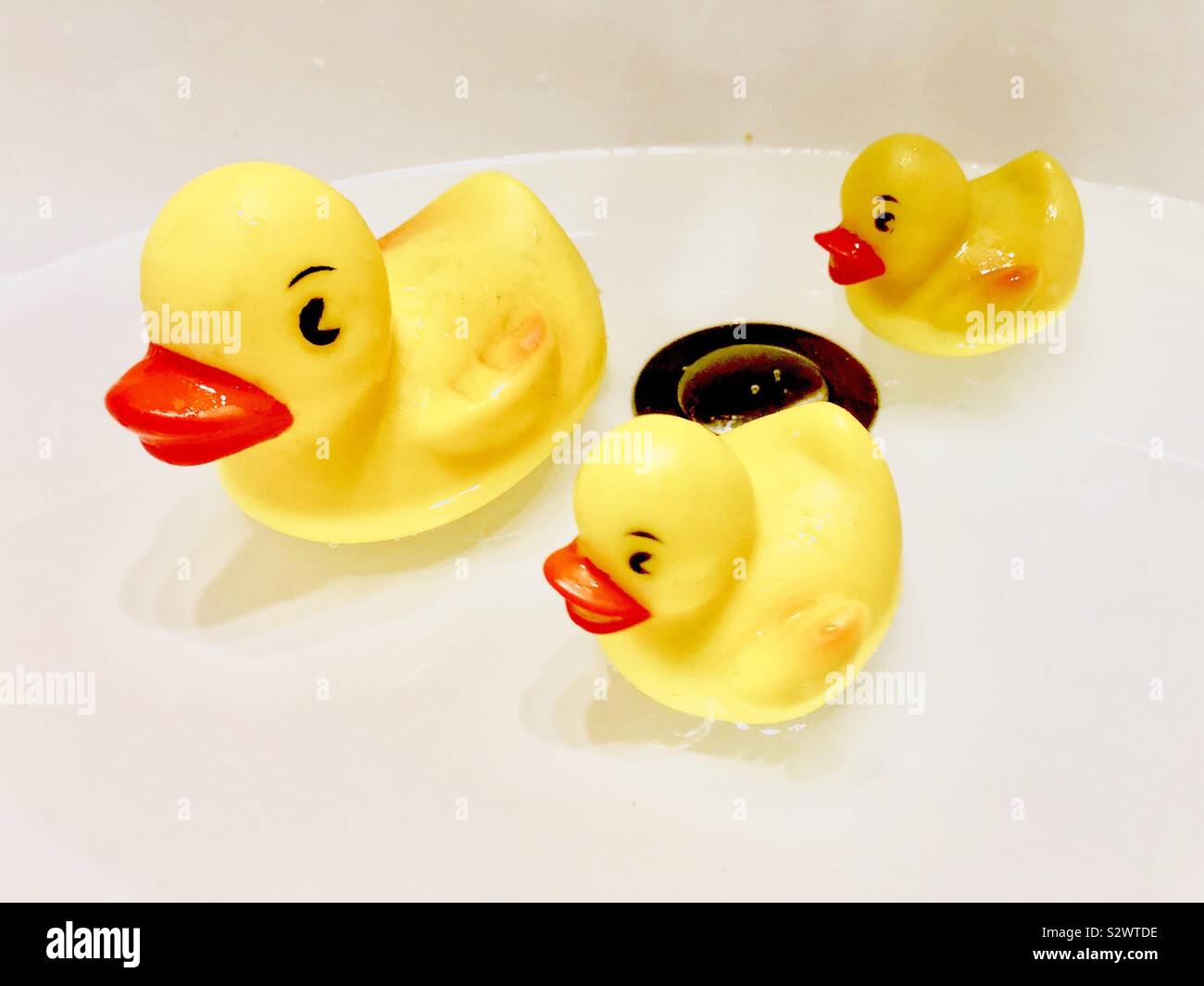 rubber duckies Stock Photo