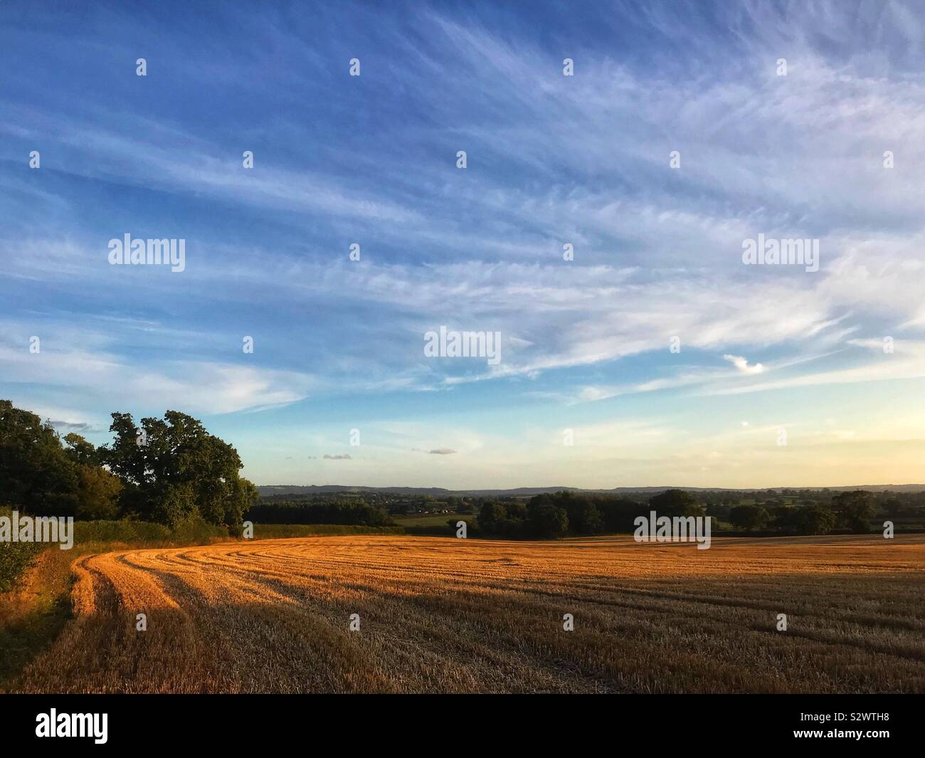 After the harvest - Smartphone Captured Stock Image