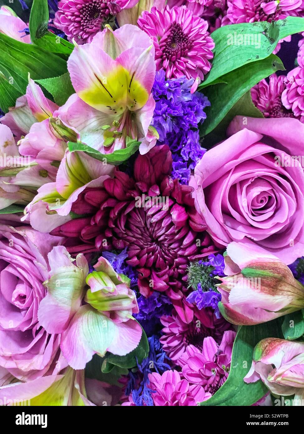 Flower bouquet full of pink and purple roses and chrysanthemums and crocus. Stock Photo