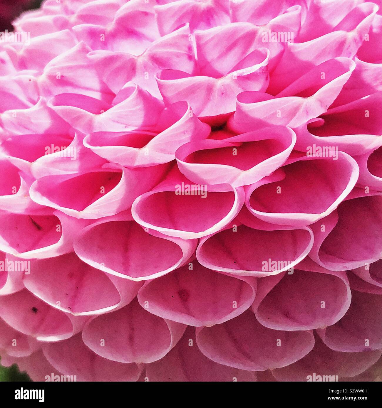 Repetition hi-res stock photography and images - Alamy