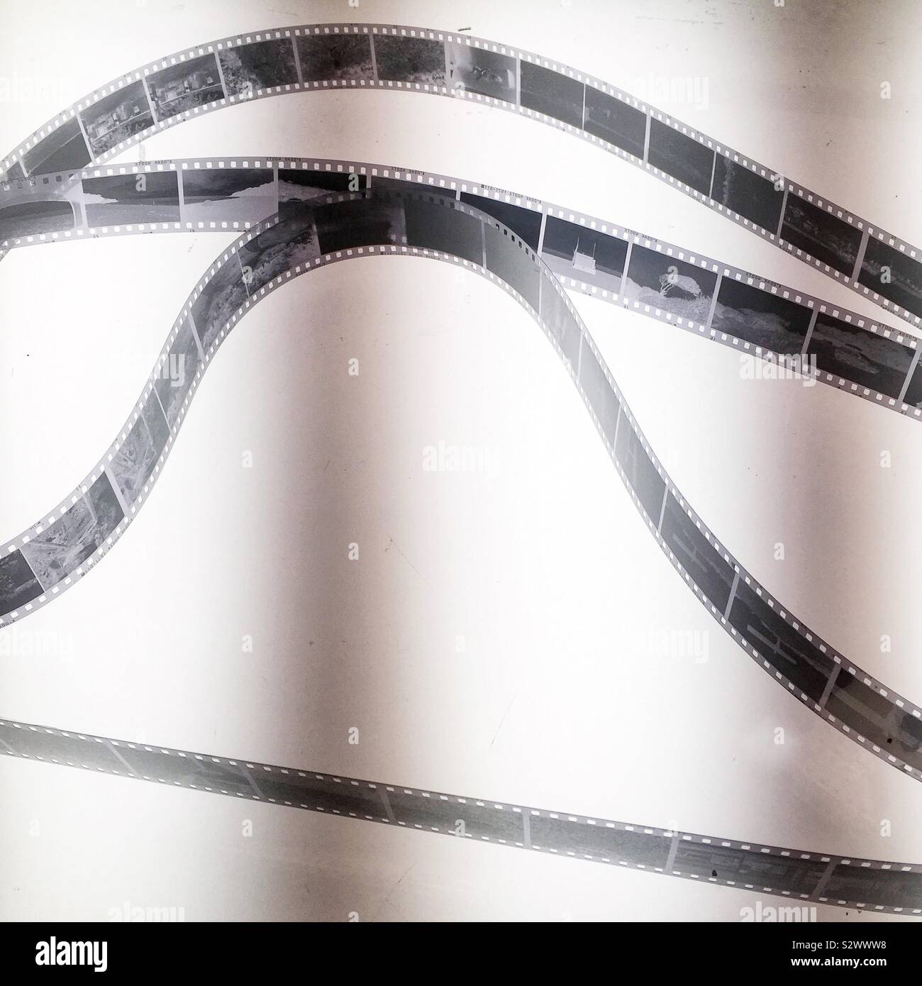 35mm black and white film on a light box. - Smartphone Captured Stock Image