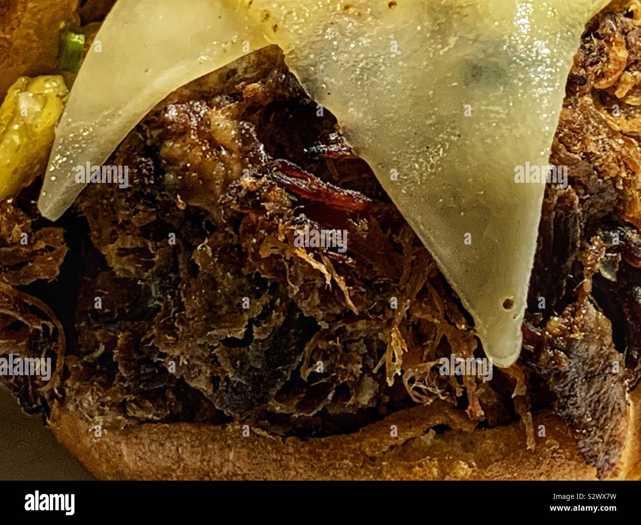 Pulled pork sandwich. - Smartphone Captured Stock Image