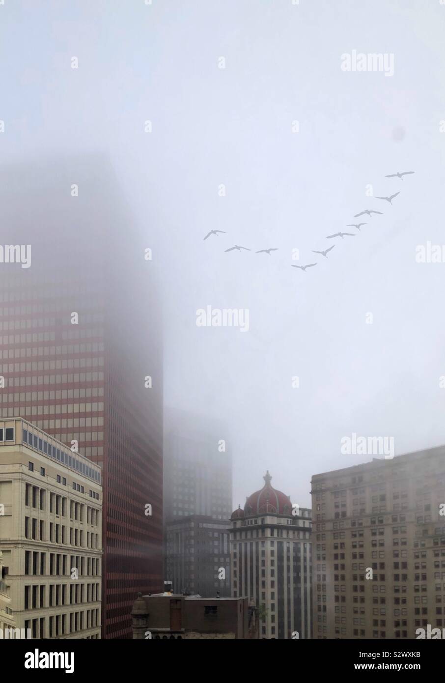 Fog shrouds a mix of old and new office buildings in downtown Pittsburgh, Pennsylvania USA.  A flock of birds fly over. Stock Photo