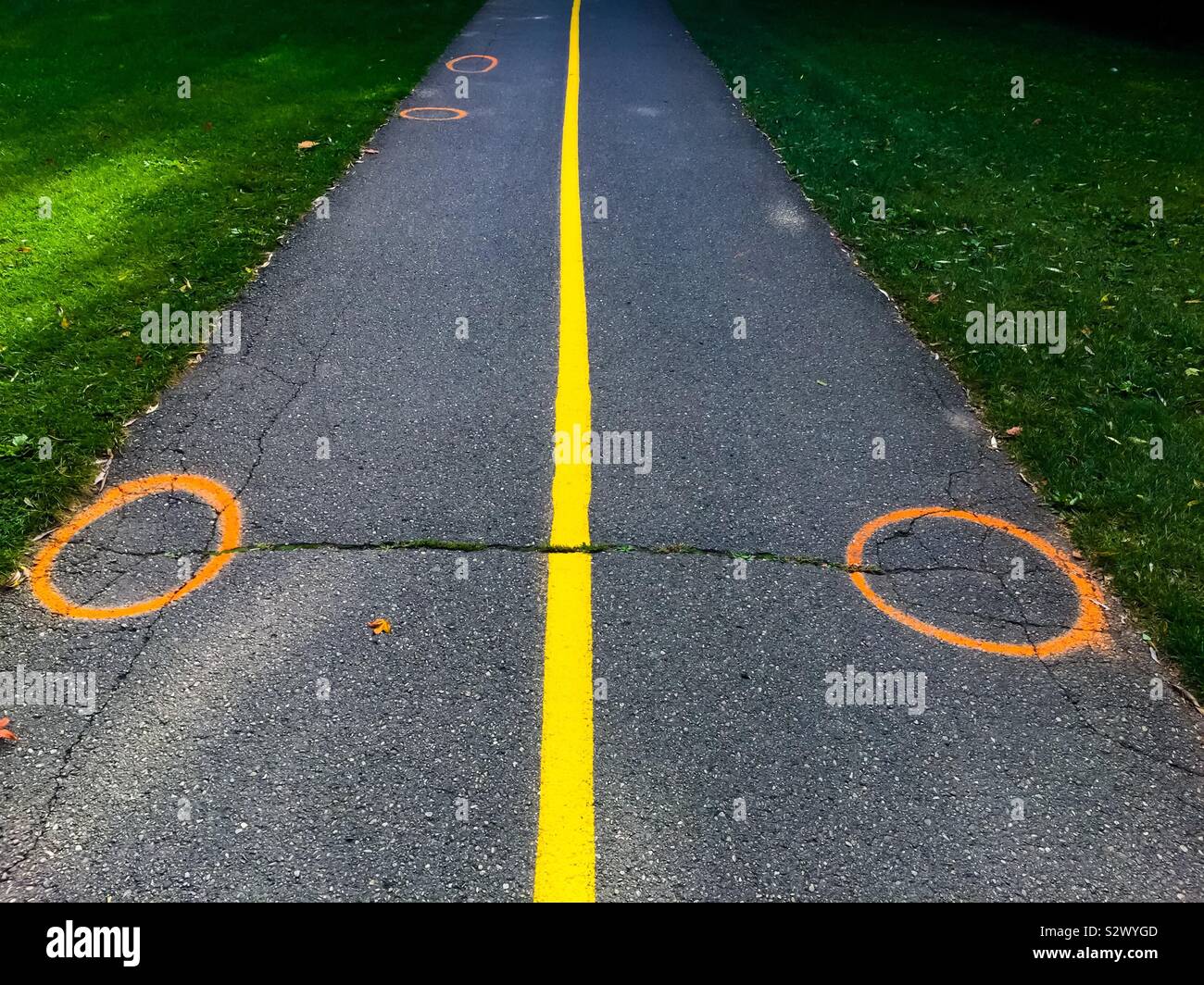 Balance: two circles and a line, outdoors in a green space. Concepts: symmetry, symmetrical, unplanned, not by design. - Smartphone Captured Stock Image