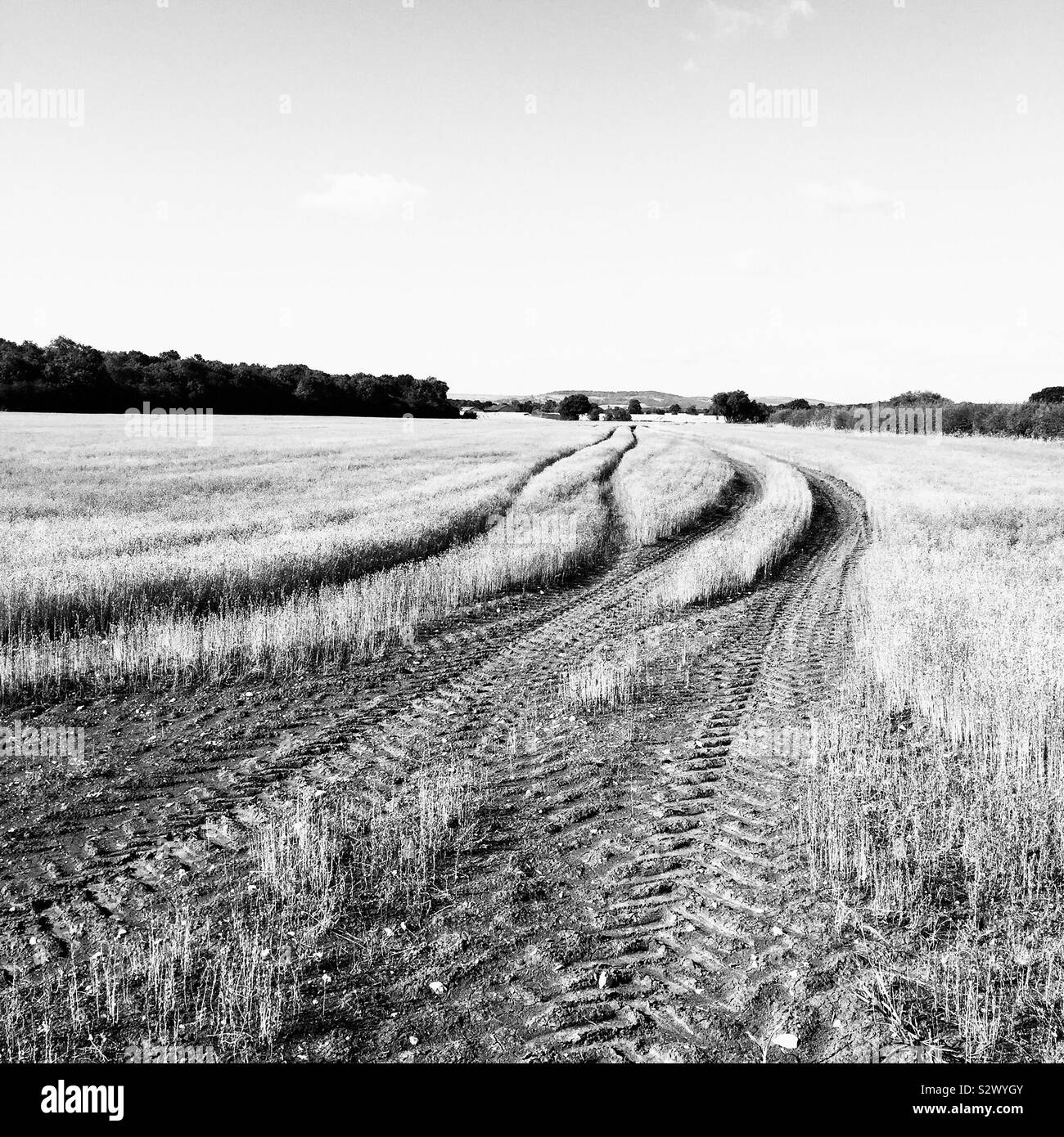 Fields In The Cotswolds England Stock Photo Alamy fields-in-the-cotswolds-england-stock-photo-alamy
