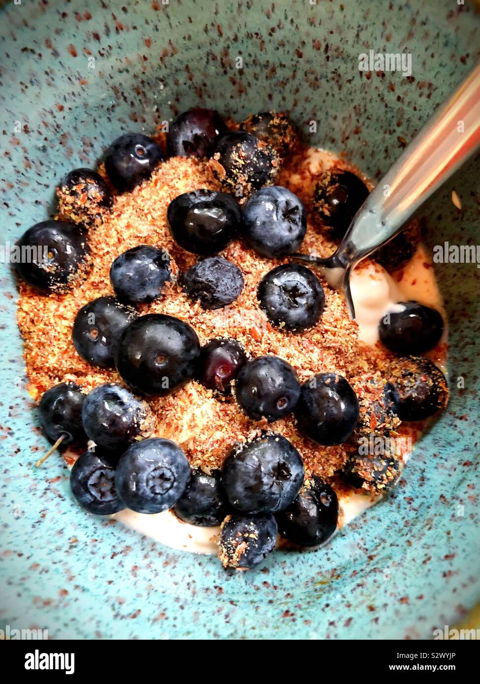 A bowl of yogurt with ground flax and blueberries. Stock Photo