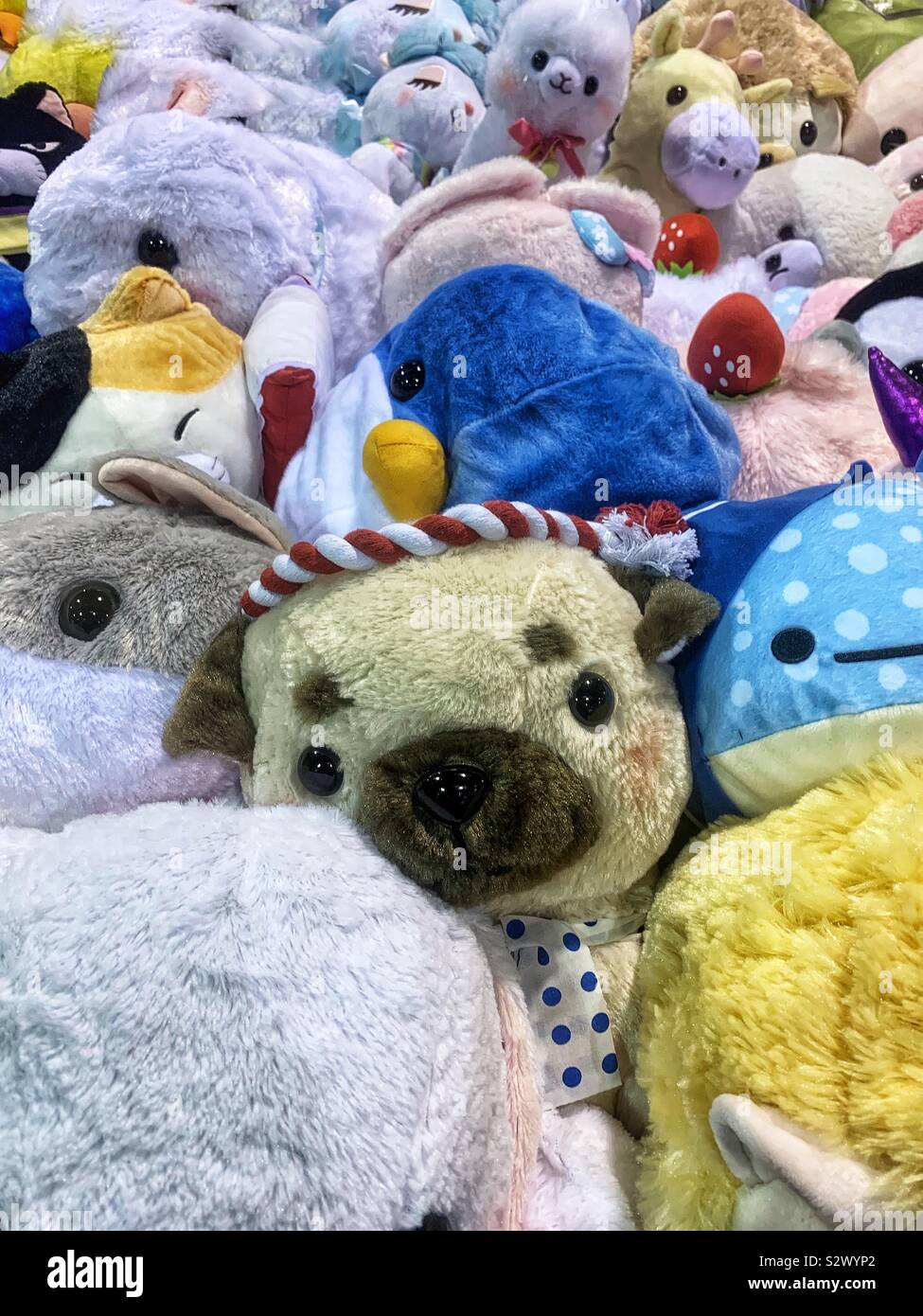 Sea of super cute stuffed animals. Stock Photo