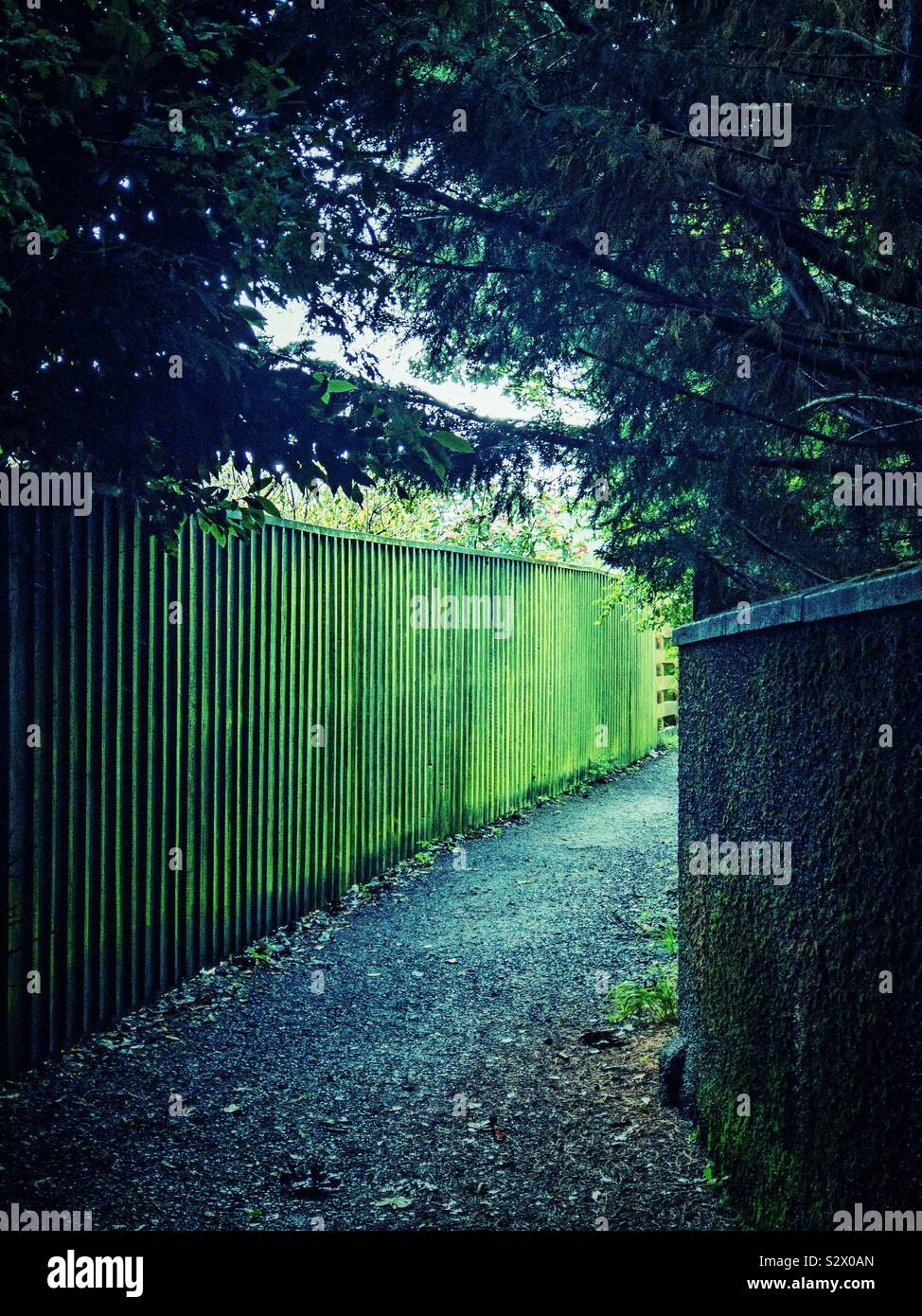 Green fence next to path with trees. Stock Photo