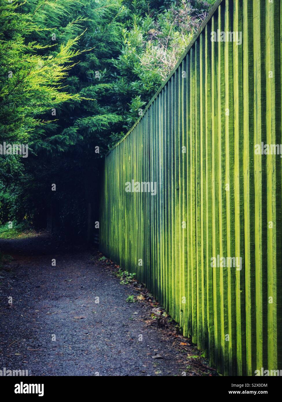 Green wooden fence next to path. Stock Photo