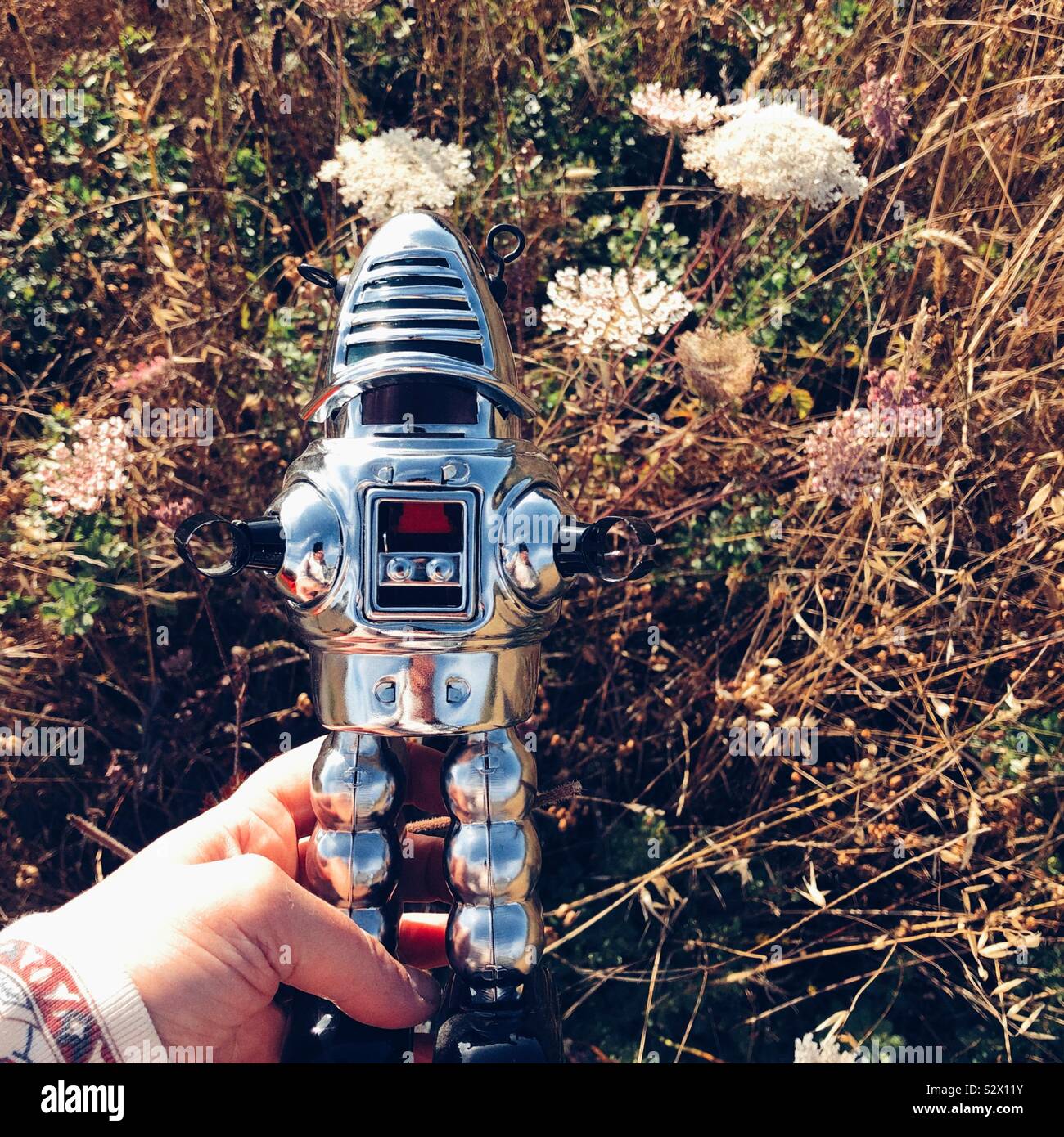 Vintage windup robot toy in grass - Smartphone Captured Stock Image