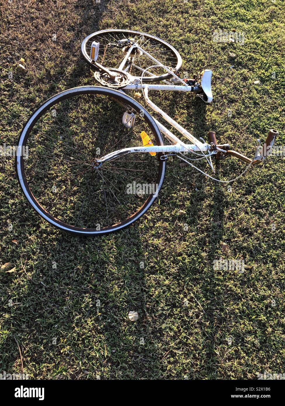 Old white bicycle abandoned on the grass. - Smartphone Captured Stock Image