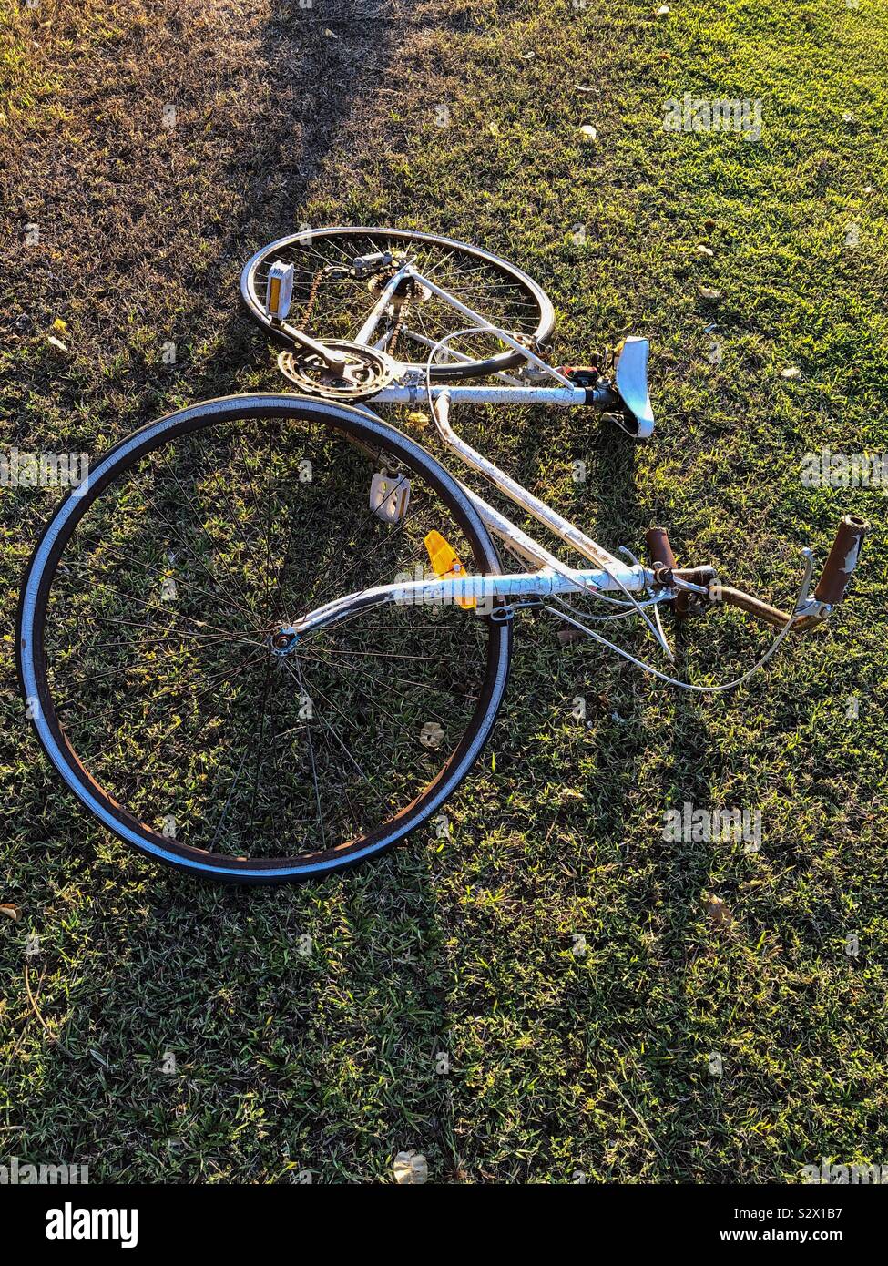 Old white bicycle fallen on the grass. - Smartphone Captured Stock Image