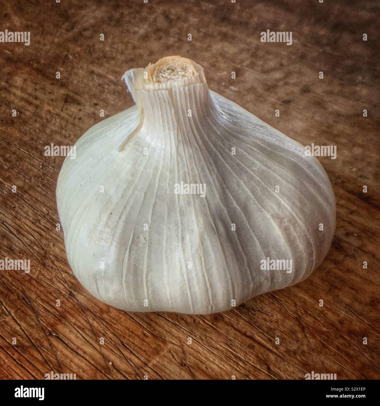 Bulb of garlic on table Stock Photo