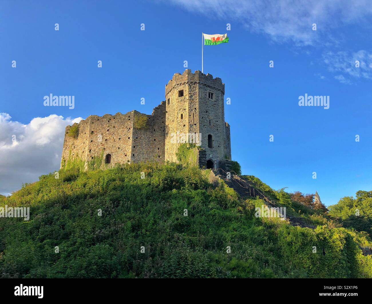 Cardiff castle keep, flying the Welsh flag, September. - Smartphone Captured Stock Image