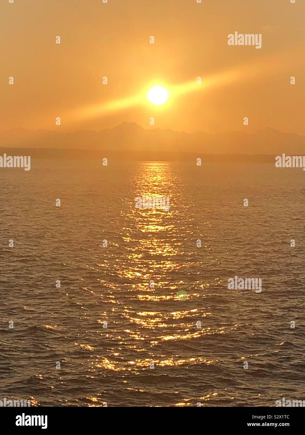 Sunset in Seattle - Smartphone Captured Stock Image