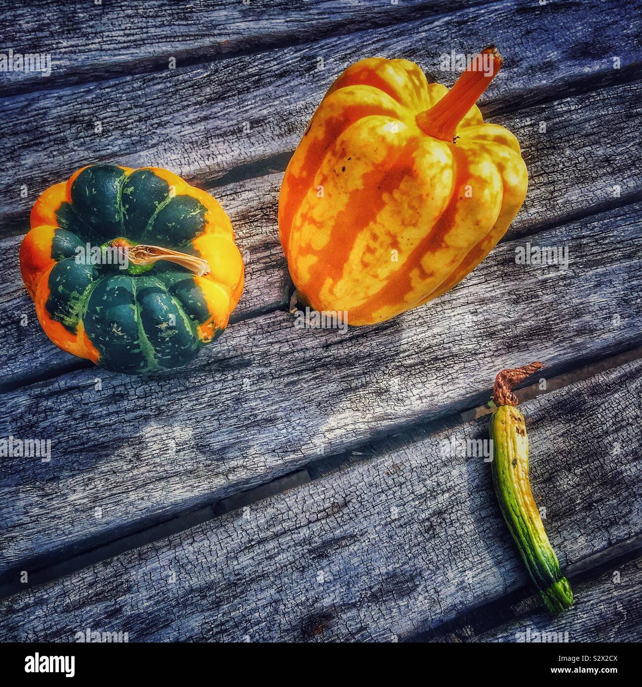 Pumpkins and squash on a wooden table. - Smartphone Captured Stock Image