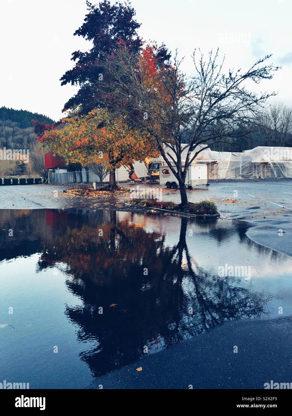 Autumn is coming - Smartphone Captured Stock Image